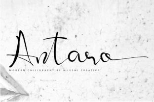 Antaro: The Modern Script Font for Bold Brands