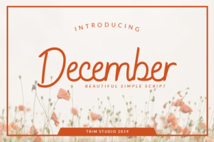 December Font: A Gentle Script for Editorial Design