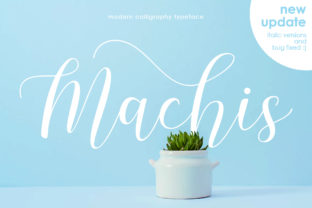 Machis Font: Elevate Your Campaign Visuals