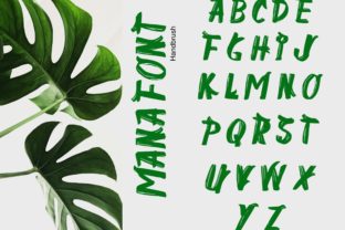 Mana: A Designer’s Review of Script Amp’s Latest Typeface