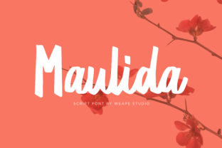 Maulida Font: Elevating Campaign Visuals