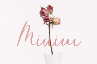 Minim: A Minimal Script Font for Editorial Design
