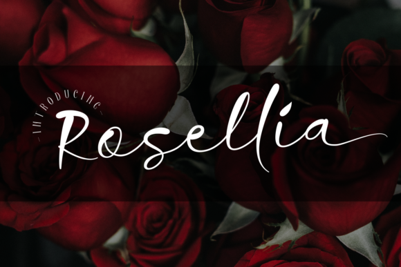 Rosellia: A Sharp Script Font for Bold Campaigns