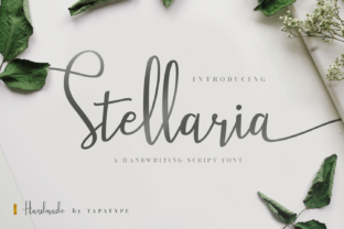 Stellaria Font Review for Modern Campaigns