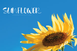 Sunflower Font: Elevate Your Brand Identity