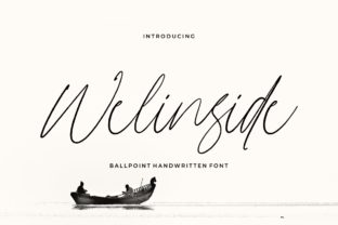 Welinside Font: A Web Designer’s Review